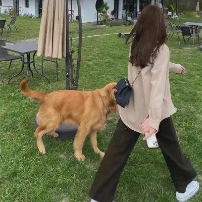 魔鬼大状