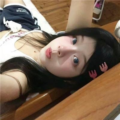 挎斗摩托车里的狗